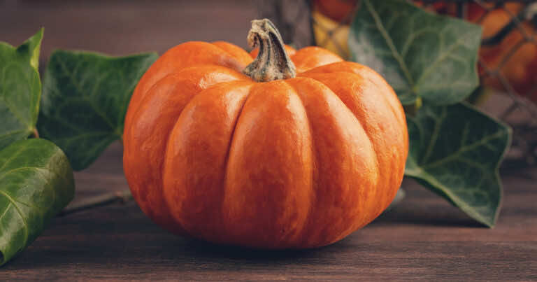 Dynia to owoc czy warzywo?