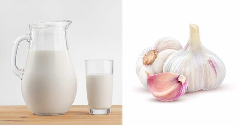 Kiedy warto pić mleko z czosnkiem?
