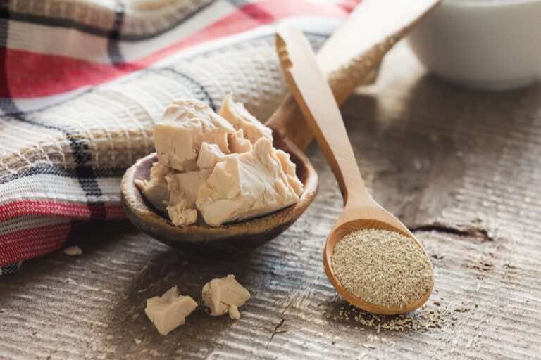 Drożdże świeże i suche – czy to jakich użyjemy ma znaczenie?