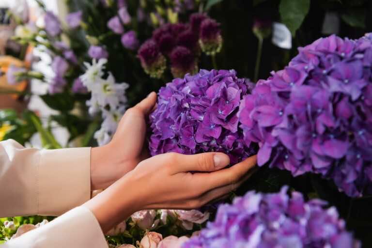 Jakie wyróżniamy krzewy ozdobne?