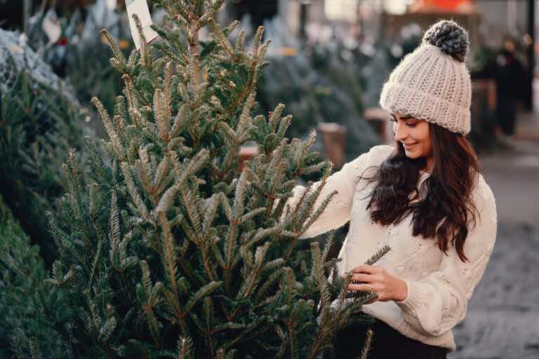 Plusy i minusy sztucznych i prawdziwych choinek