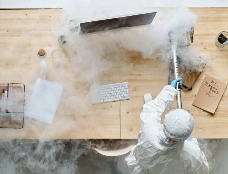 Robaki w mieszkaniu – jak sobie z nimi radzić domowymi sposobami?