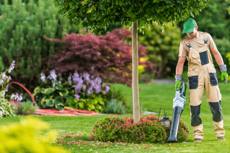 Jak wybrać odpowiednią dmuchawę ogrodową?