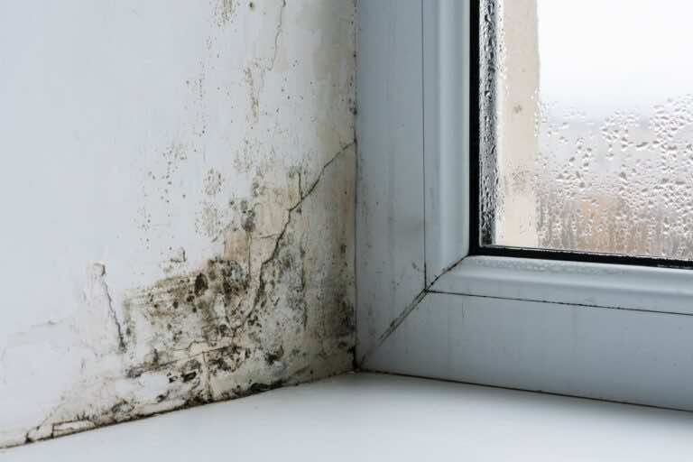 Jak zrobić domowy osuszacz powietrza