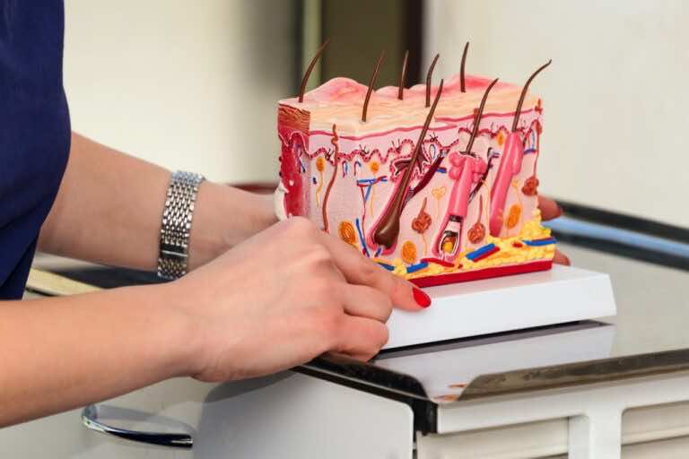 Kim jest trycholog. Kiedy warto do niego się wybrać