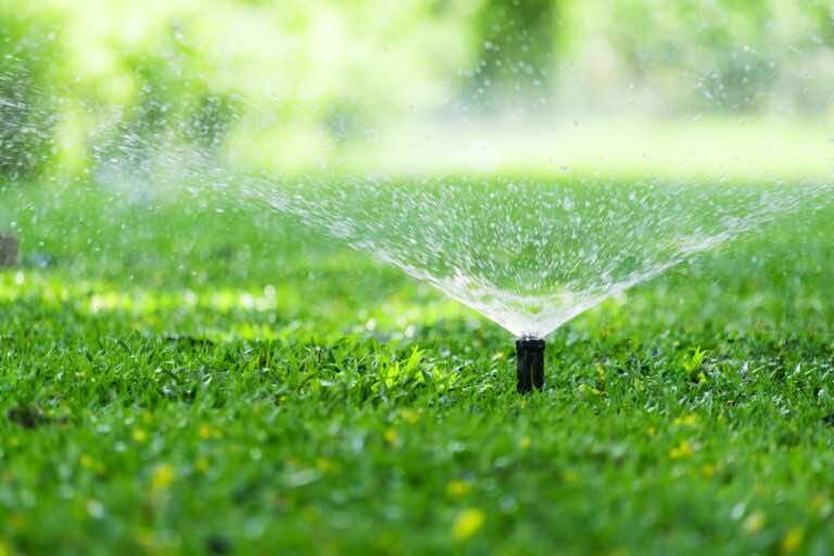 Jak sprawdzić czy trawnik jest dobrze podlany?