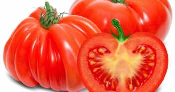 Czy wiesz, dlaczego pomidory malinowe są droższe od innych?