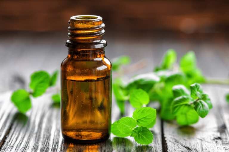 Jak wykorzystać olejek miętowy? Te sposoby warto znać