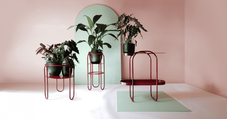 Wszystko o doborze kwietników do salonu