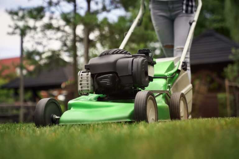 Kiedy skosić trawnik przed zimą?