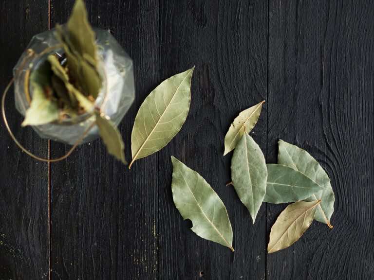 Włóż liść laurowy do szafki kuchennej. Rozwiąże ważny problem