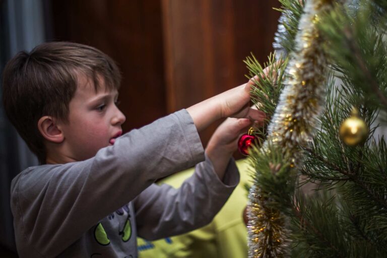 Dlaczego warto wybrać żywą choinkę?