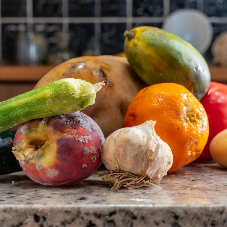 Gdzie wyrzucić zepsute owoce i warzywa? Wiele osób popełnia ten błąd