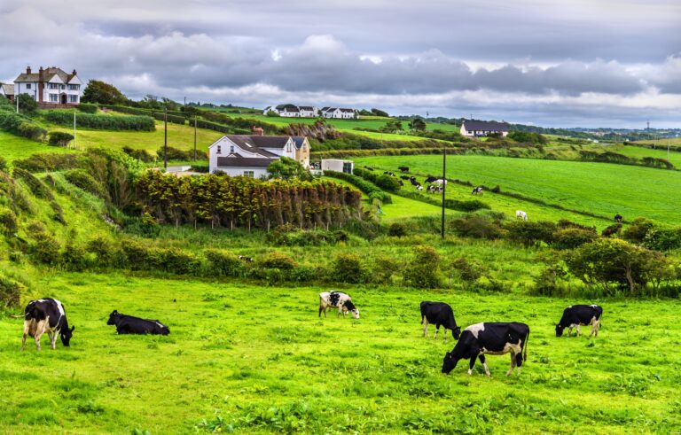 Różnice między Polską a Irlandią