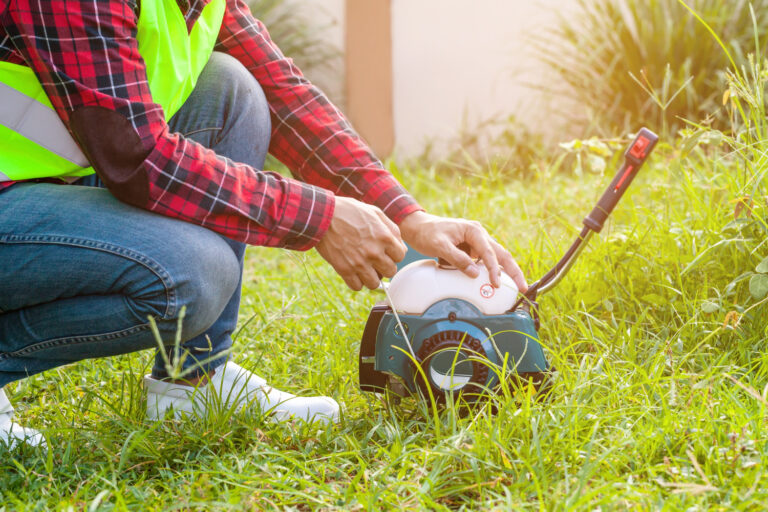 Błędy, które popełniamy podczas pielęgnacji trawnika