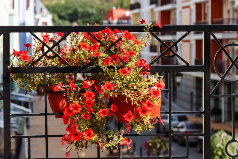 Za kwiaty na balkonie można dostać mandat – zobacz, w jakiej sytuacji