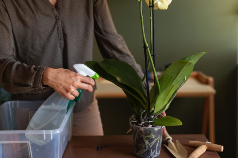 3 sposoby na samo-podlewanie kwiatów, gdy jesteśmy na urlopie