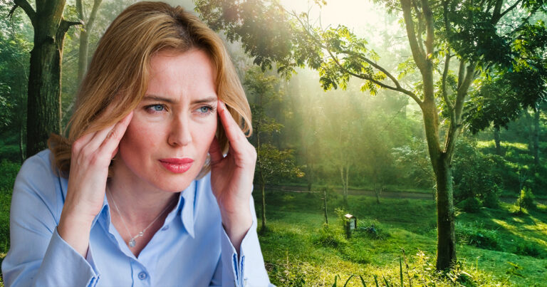 Zestresowana? 20 minut spaceru w lesie wystarczy, aby zmniejszyć poziom kortyzolu