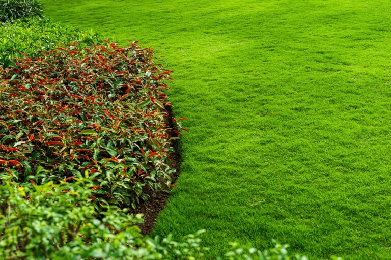 Chcesz mieć piękny trawnik? Znamy kilka prostych trików