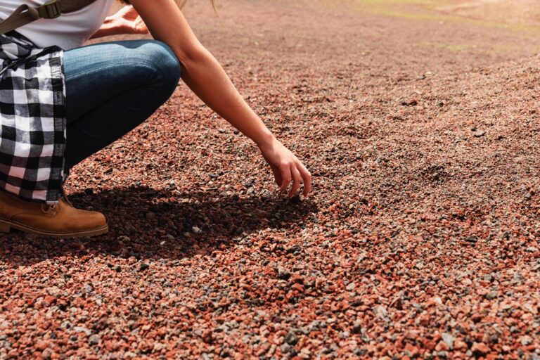 Susza rolnicza w Polsce. Jak nawadniać rośliny efektywnie i oszczędnie
