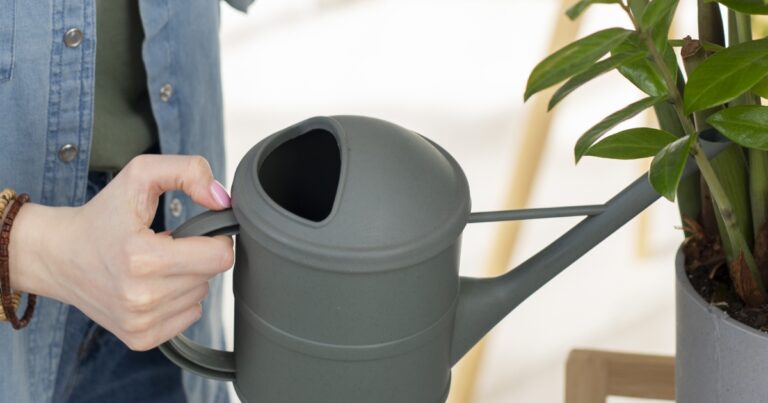 Jak zadbać o kwiaty na urlopie — trzy sposoby na nawodnienie