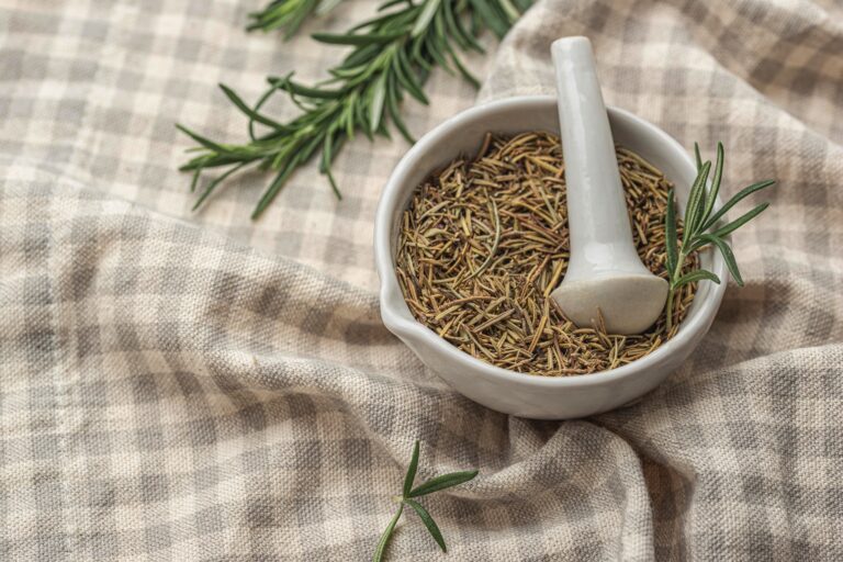 Rozmaryn — właściwości zdrowotne