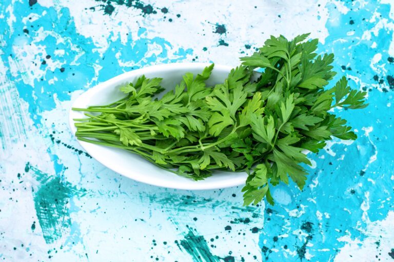 Jakie właściwości zdrowotne ma natka pietruszki