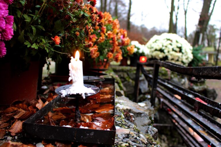 Co zrobić, aby kwiaty na grobie wytrzymały dłużej