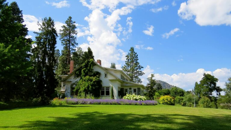 Idyllic countryside house surrounded by lavender and greenery under a bright blue sky.