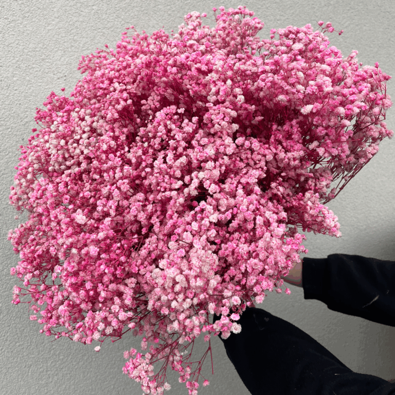 Świąteczne dekoracje z suszonych i stabilizowanych kwiatów – pomysły, które odmienią wnętrze