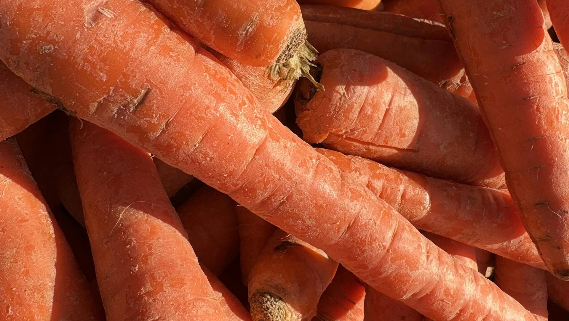 Jak uratować zwiędnięte warzywa?