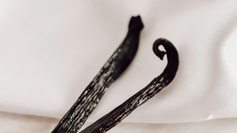 Zbliżenie na dwie laski wanilii leżące na białym tle